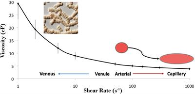 Physical Properties of Blood and their Relationship to Clinical Conditions